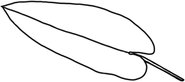 20231215115133_3949