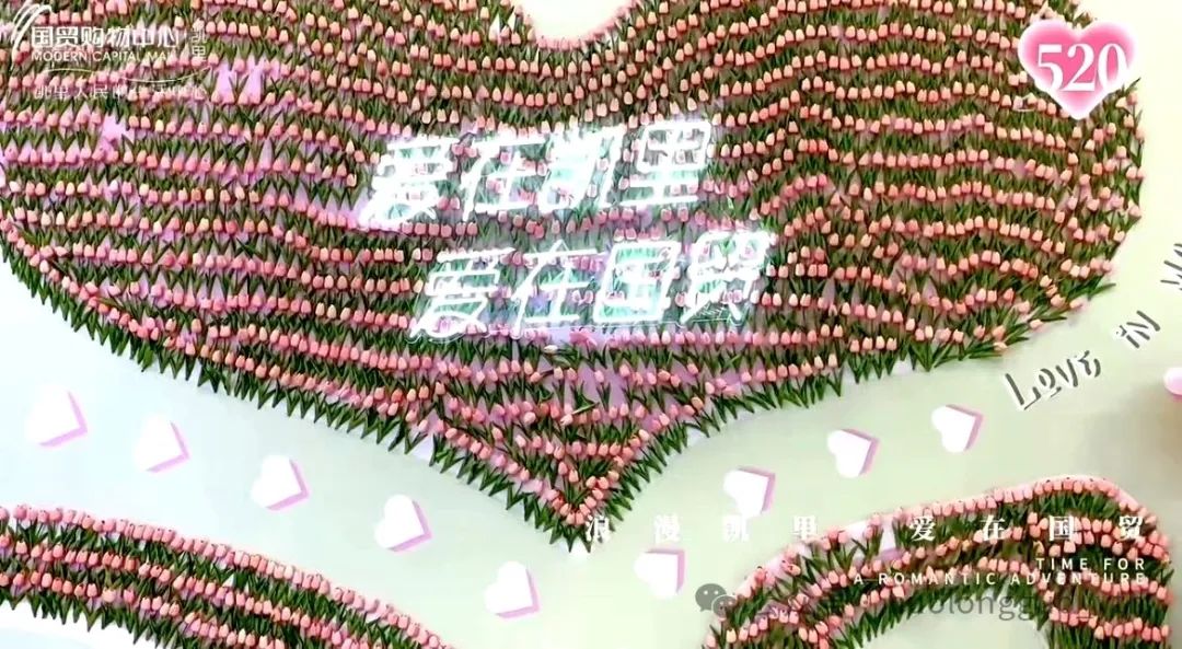 20240617172026_4926 20240617172026_4926