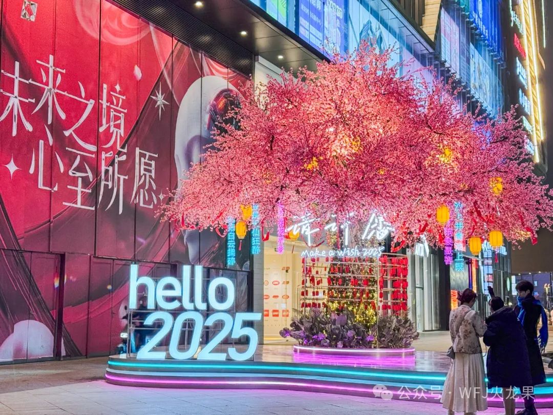 20250106144406_2342 20250106144406_2342