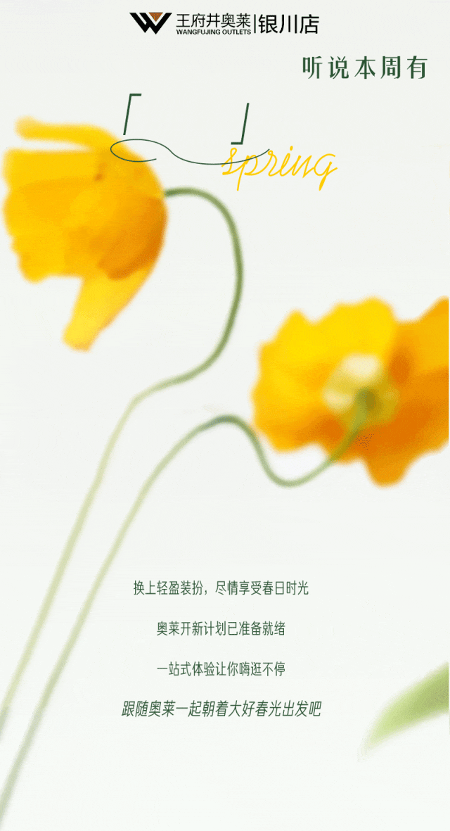 20250314110932_6319