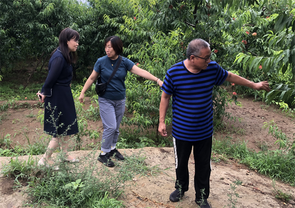 首页- 腾博官网诚信为本,专业服务!